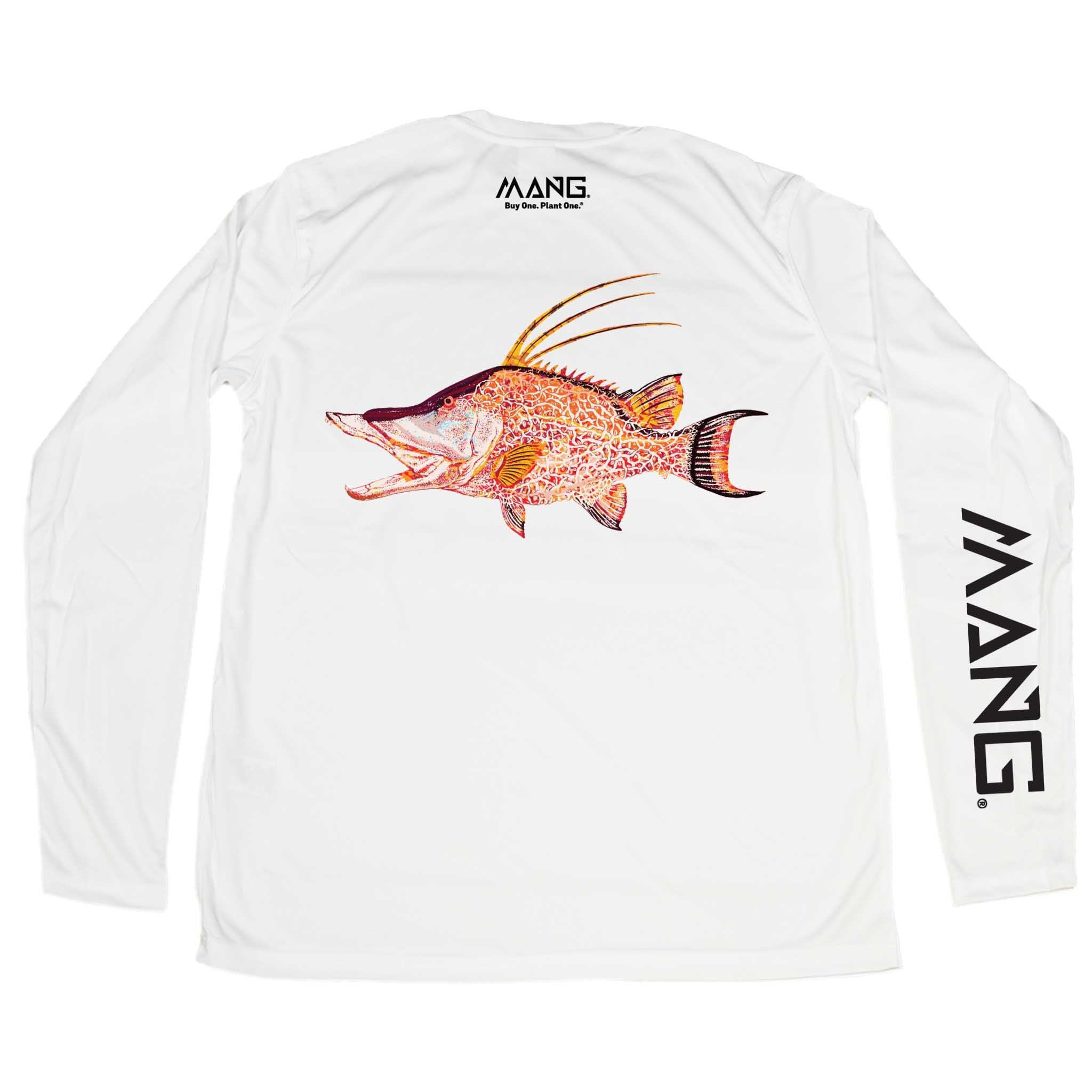 Hogfish MANG - LS