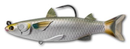 Live Target Mullet Swimbait