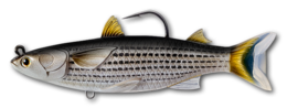 Live Target Mullet Swimbait